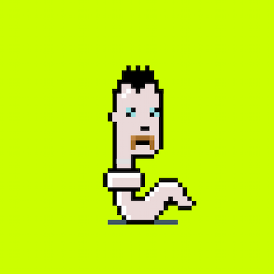 StonkPunks #123
