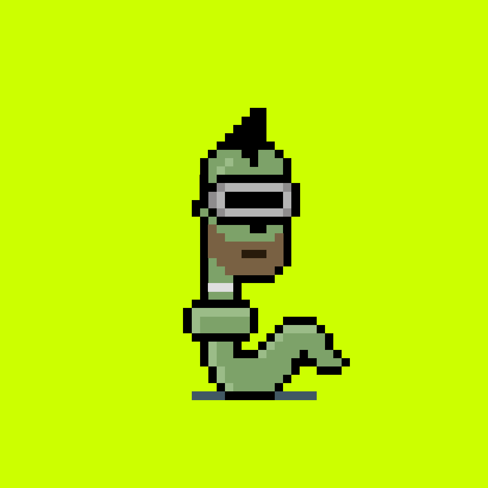 StonkPunks #1363