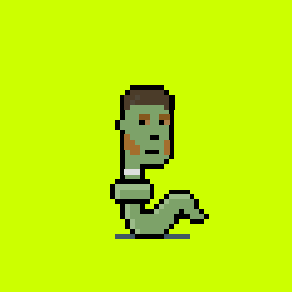 StonkPunks #1491