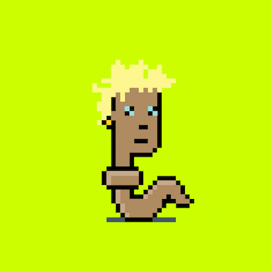 StonkPunks #1555