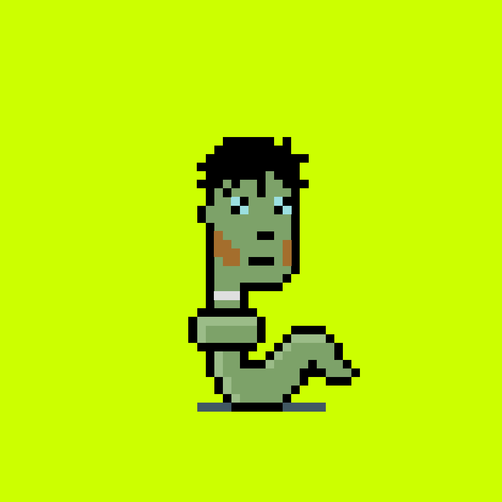 StonkPunks #811