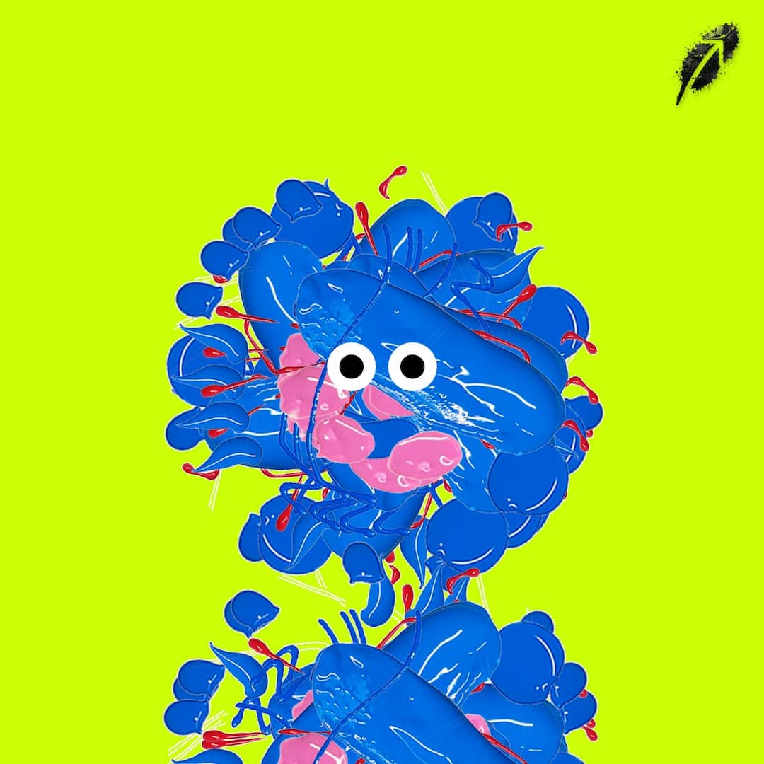 Paint RobinHood #1206