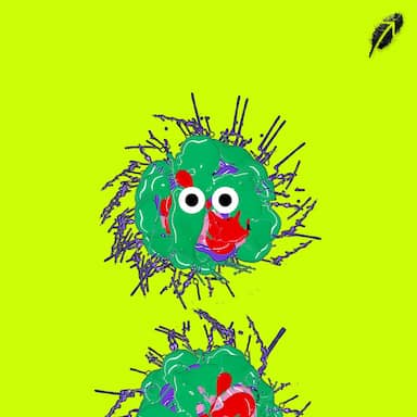 Paint RobinHood #316