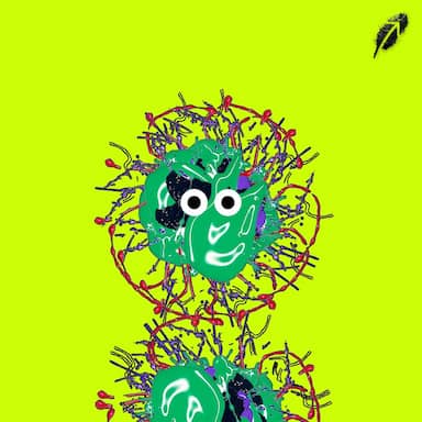 Paint RobinHood #434