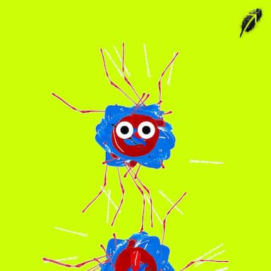 Paint RobinHood #456