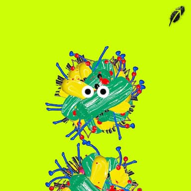 Paint RobinHood #482