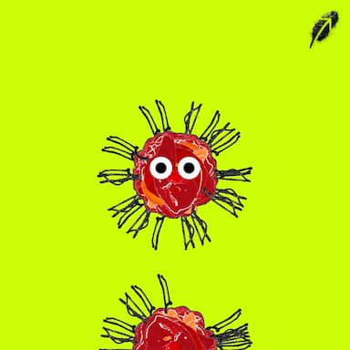 Paint RobinHood #497