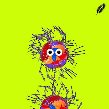 Paint RobinHood #506