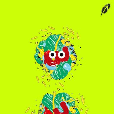 Paint RobinHood #566