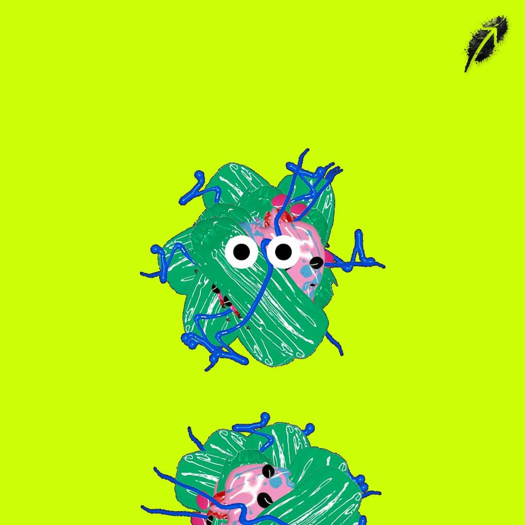Paint RobinHood #587