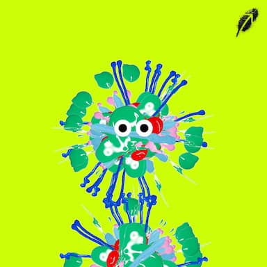 Paint RobinHood #755