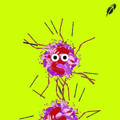 Paint RobinHood #758