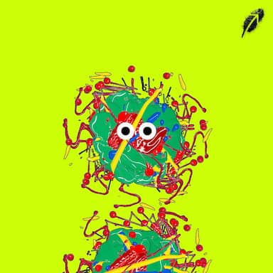 Paint RobinHood #797