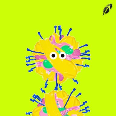 Paint RobinHood #806