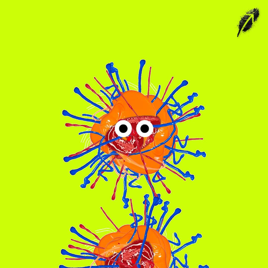 Paint RobinHood #853