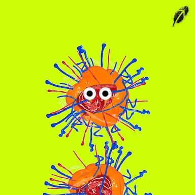 Paint RobinHood #853