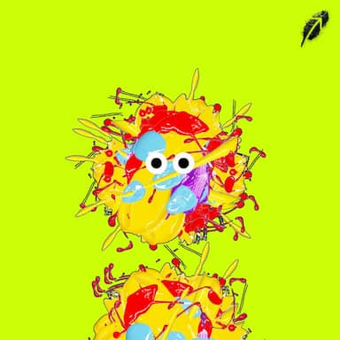Paint RobinHood #878
