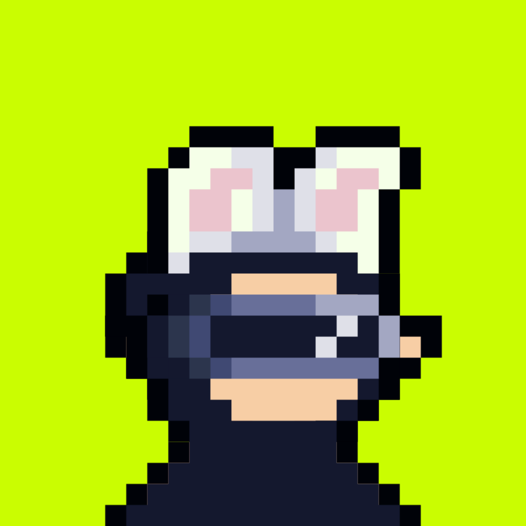 Tiny Hood #1206