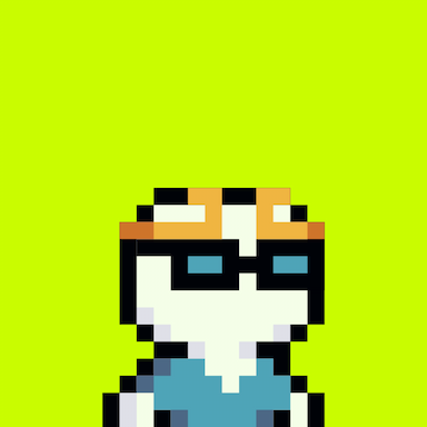 Tiny Hood #1290