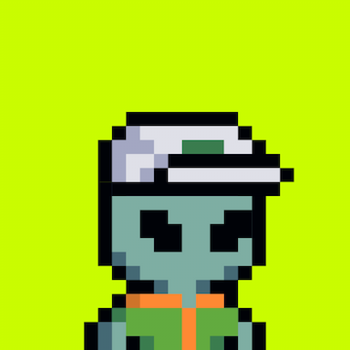 Tiny Hood #376