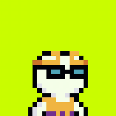 Tiny Hood #3777