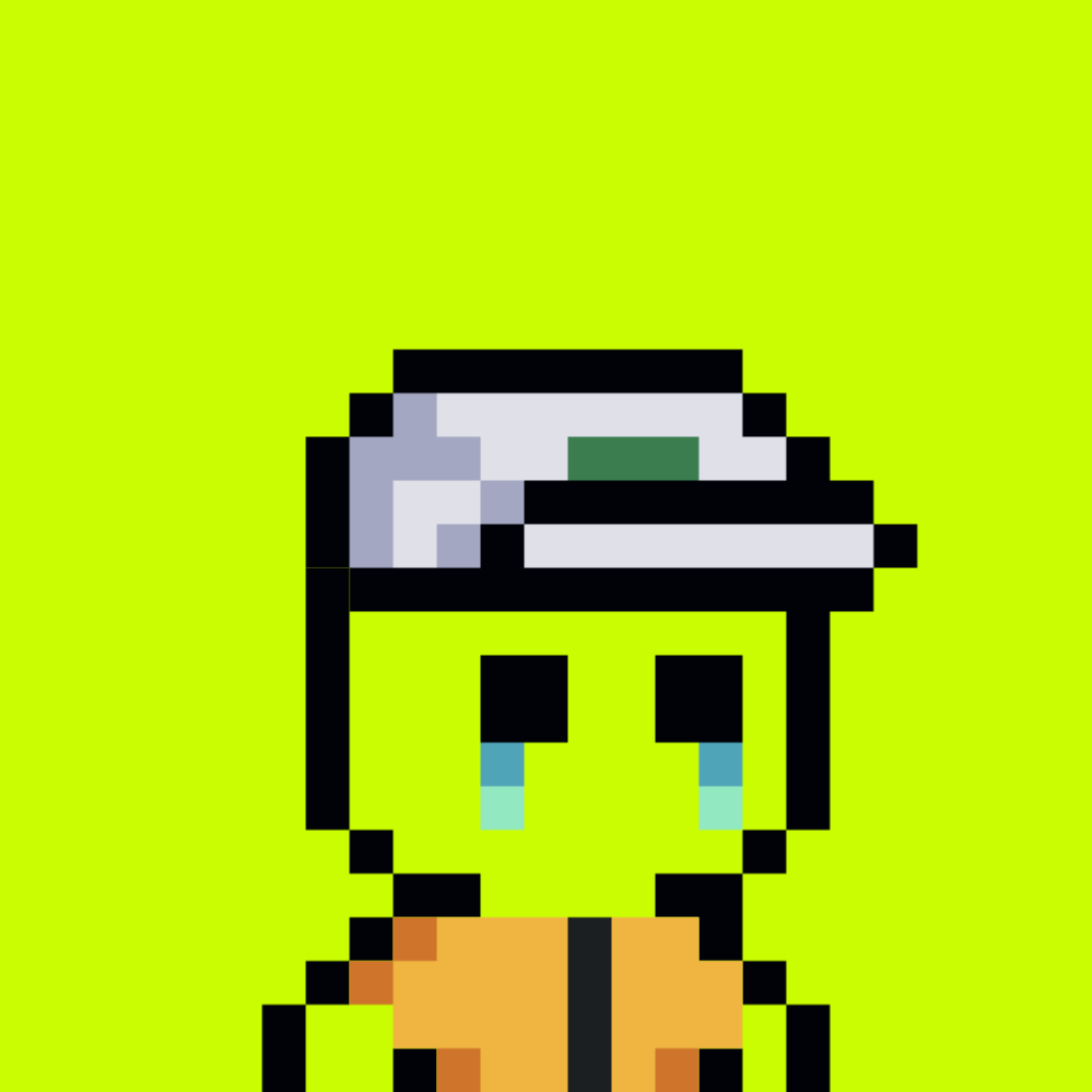 Tiny Hood #512