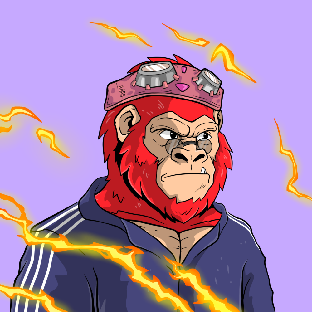 Hood Kongz 14