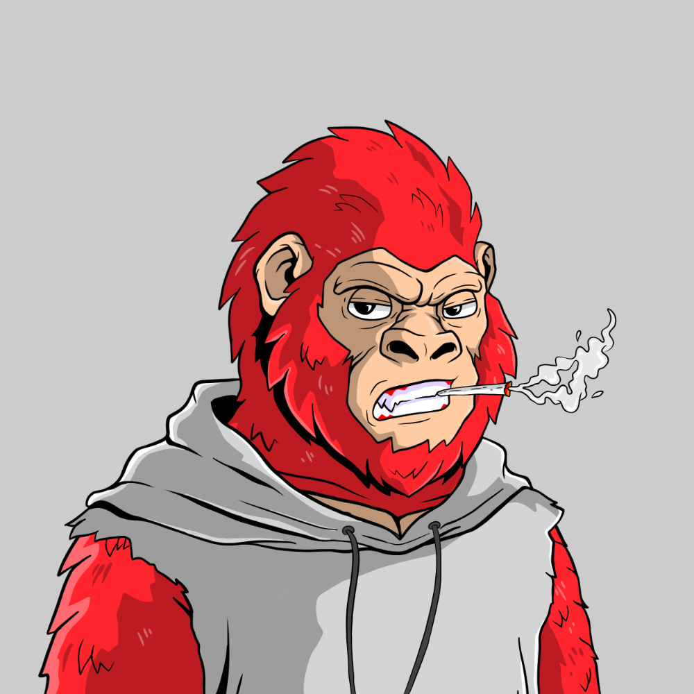 Hood Kongz 237