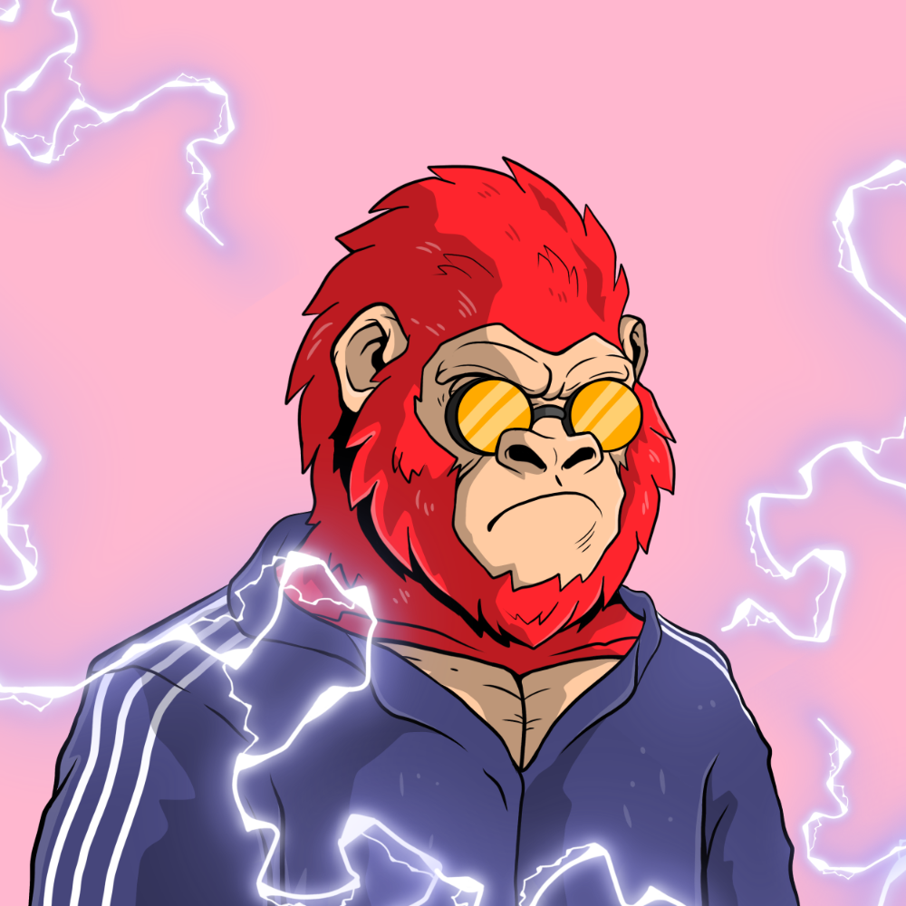 Hood Kongz 50
