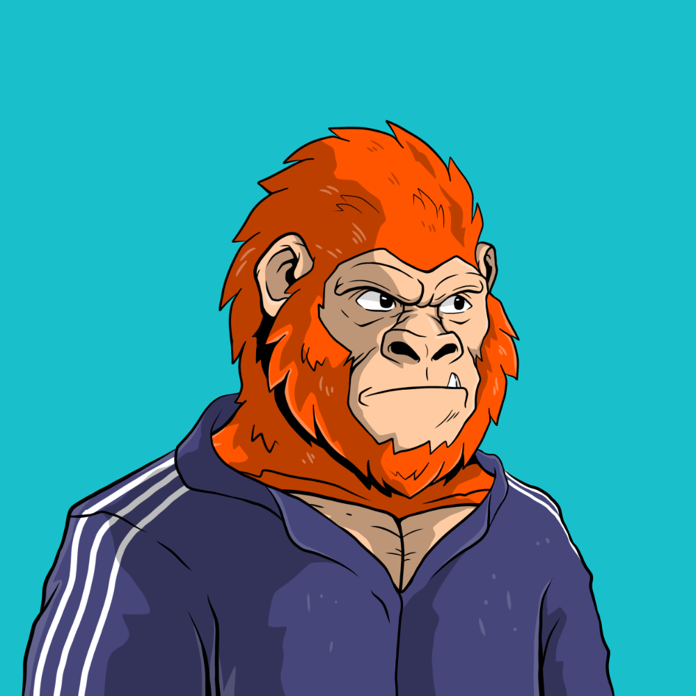 Hood Kongz 63