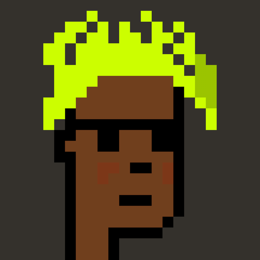 Punks in the Hood #4081