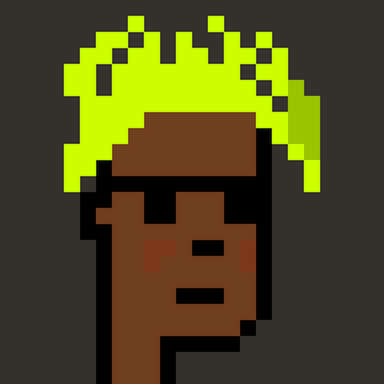 Punks in the Hood #4081