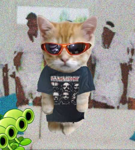 Cate #1056