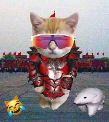 Cate #246
