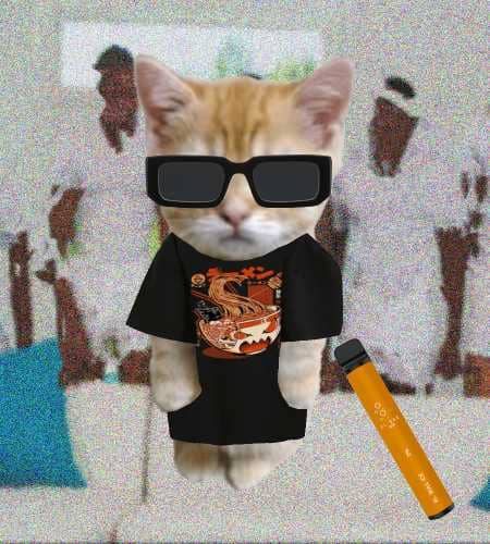 Cate #249