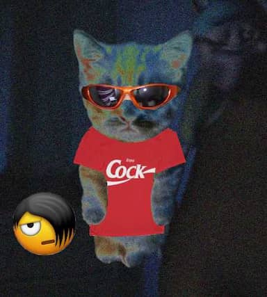 Cate #250