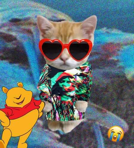 Cate #312