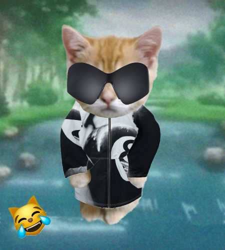Cate #392