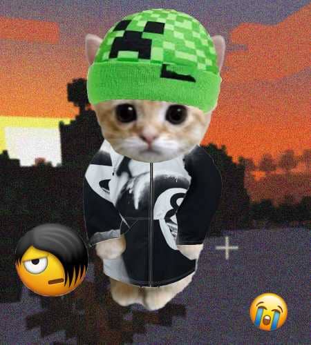 Cate #417