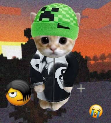 Cate #417