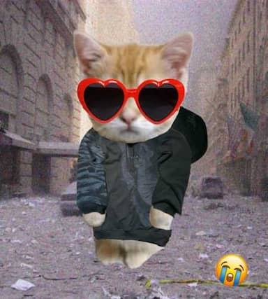 Cate #423
