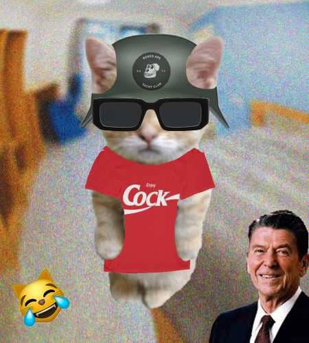 Cate #496
