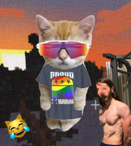 Cate #590
