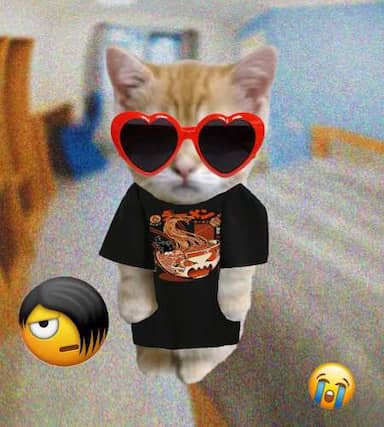 Cate #592