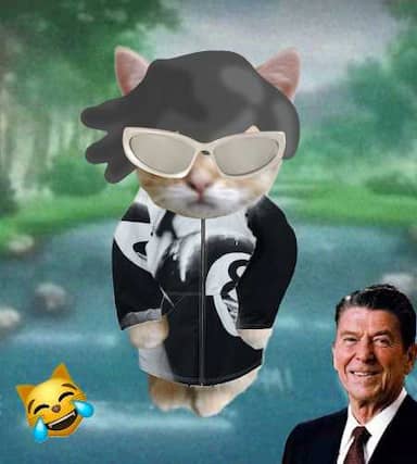 Cate #600