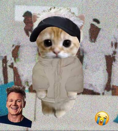 Cate #63