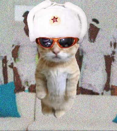Cate #664