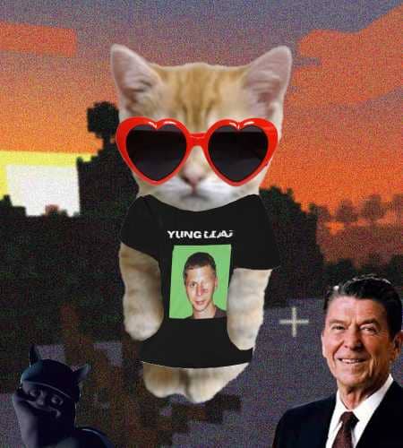 Cate #679