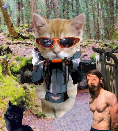 Cate #70