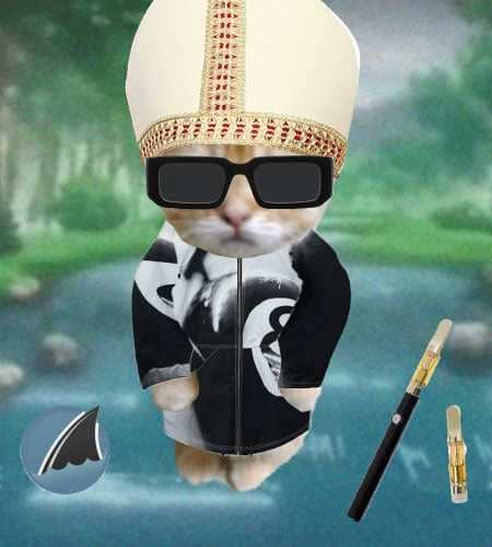 Cate #77